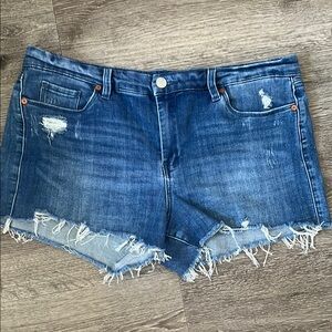 Denim Distressed Women Shorts size 32